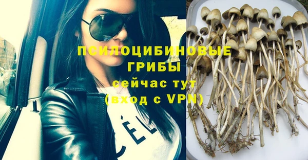 мяу мяу кристалл Ладушкин